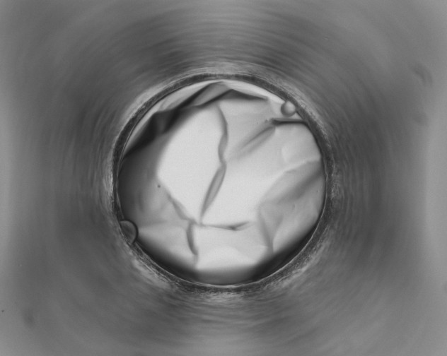 X0000112080837200908251103