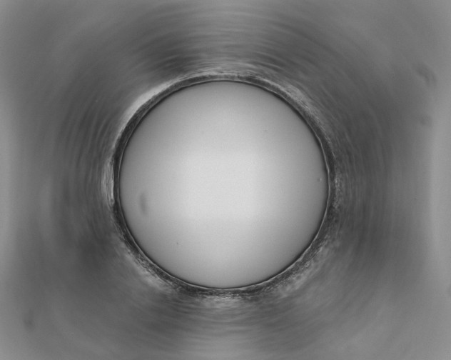 X0000112080838200908251103