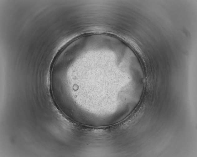 X0000112080839200908251103