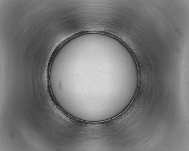 X0000112080840200908251103