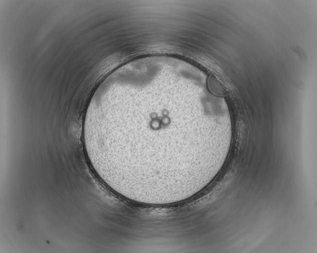 X0000112080841200908251103