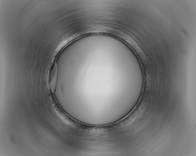 X0000112080842200908251103