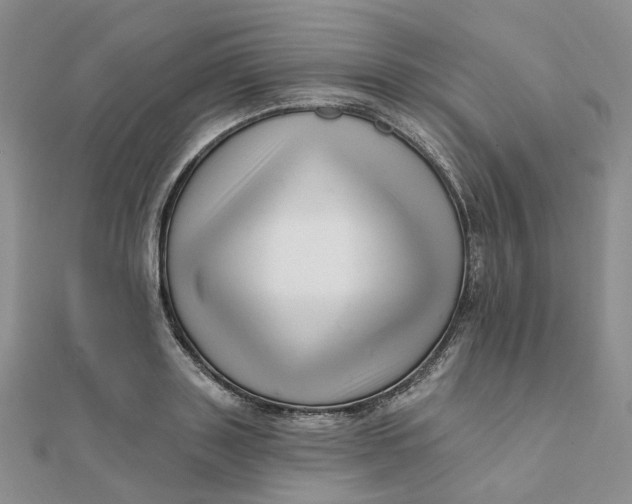 X0000112080843200908251103