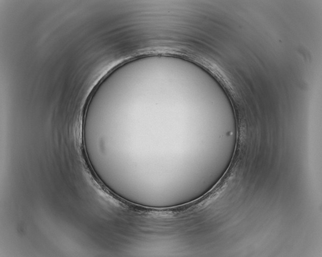 X0000112080844200908251103