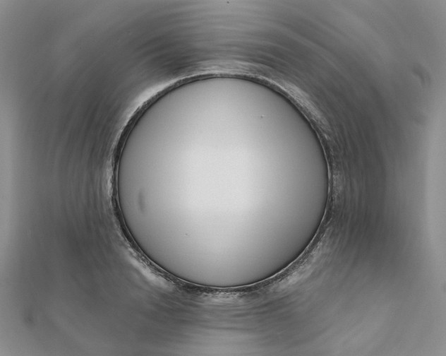 X0000112080846200908251103