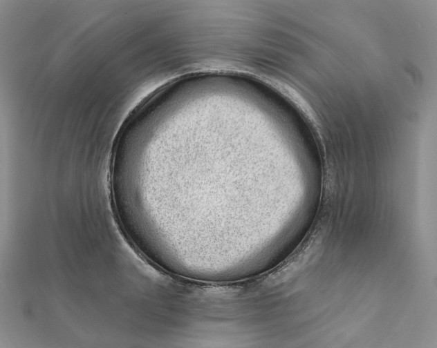 X0000112080847200908251103