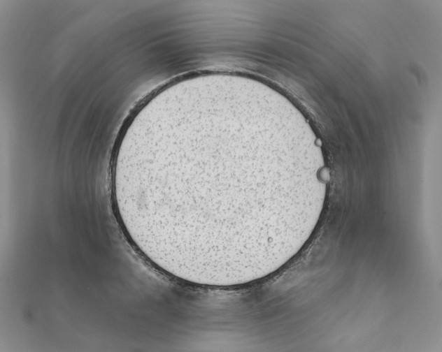 X0000112080848200908251103