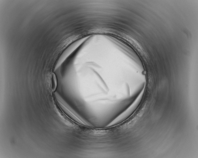 X0000112080849200908251103