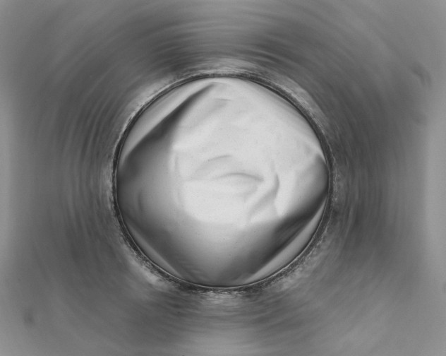 X0000112080850200908251103