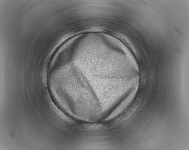 X0000112080851200908251103