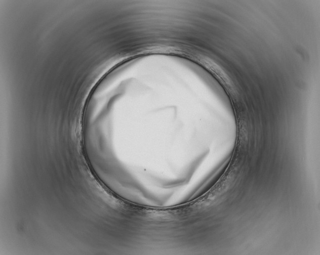 X0000112080852200908251103