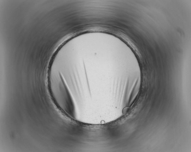 X0000112080853200908251103