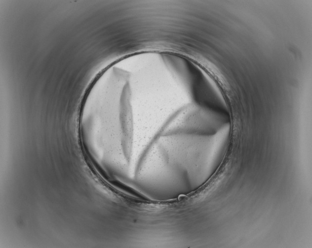 X0000112080854200908251103