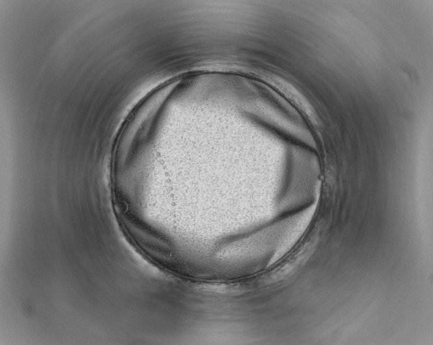 X0000112080855200908251103