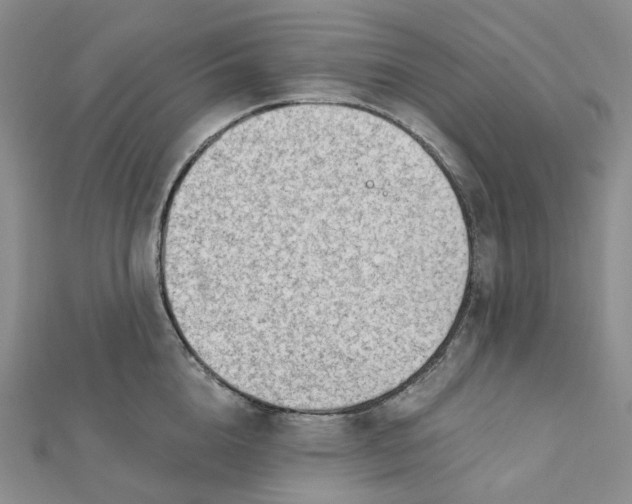 X0000112080856200908251103