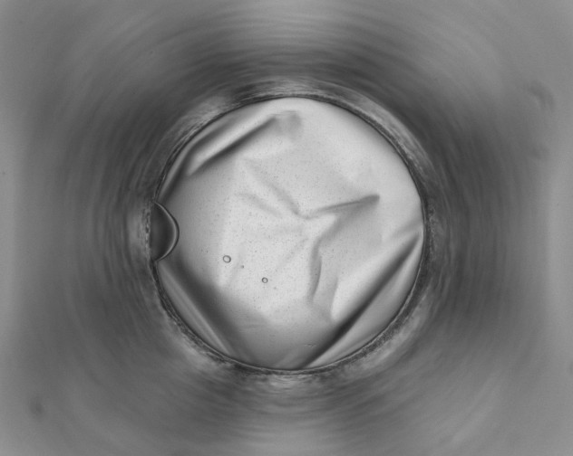 X0000112080857200908251103