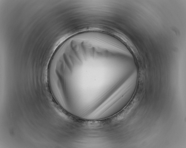 X0000112080858200908251103