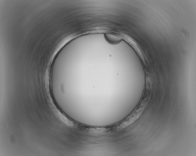 X0000112080859200908251103