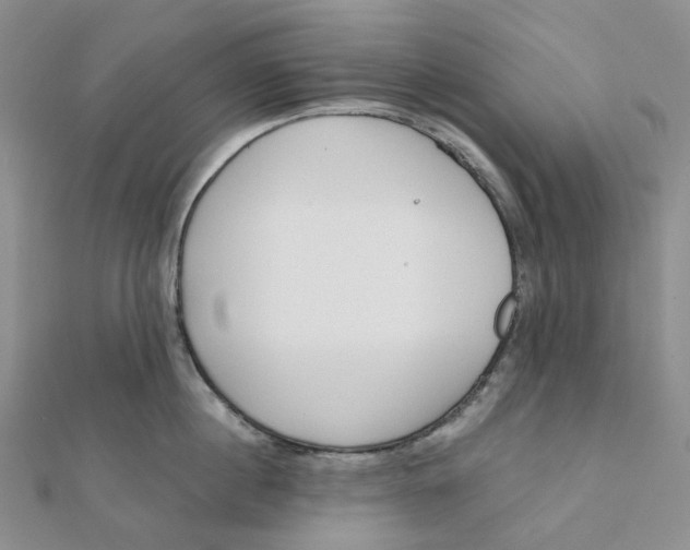 X0000112080860200908251103