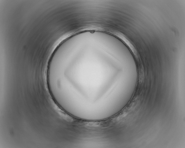 X0000112080861200908251103