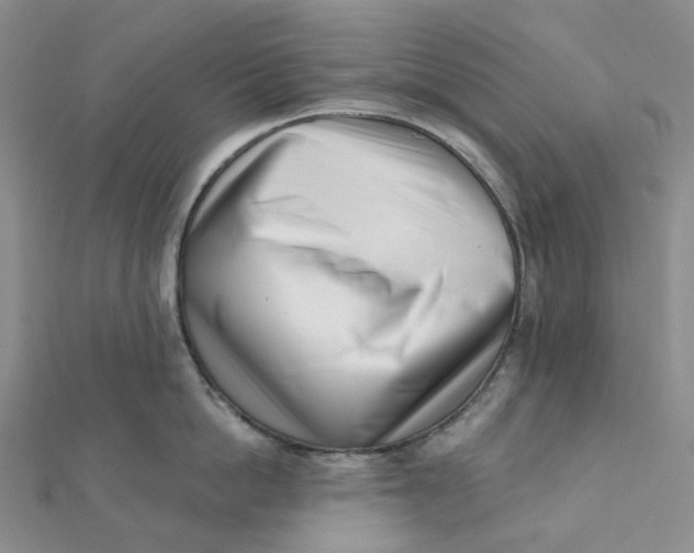 X0000112080862200908251103