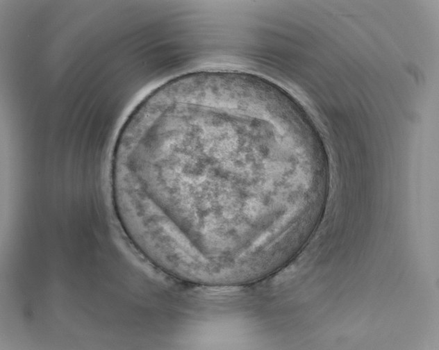 X0000112080864200908251103