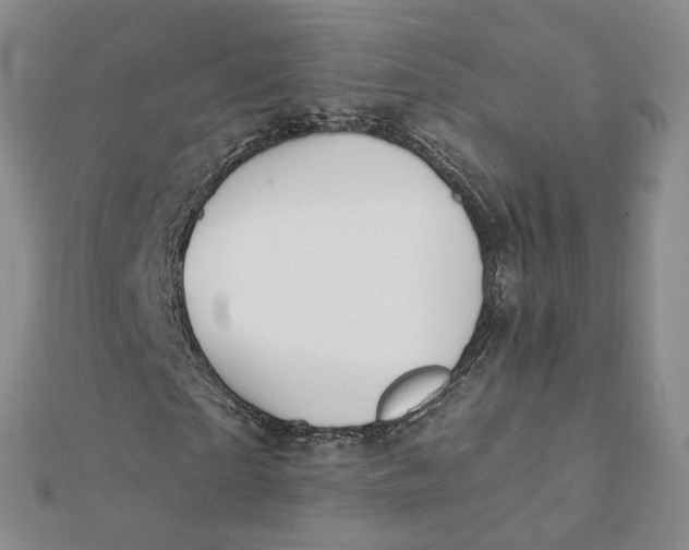 X0000112080865200908251102