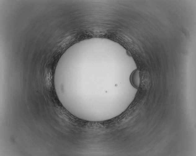 X0000112080866200908251102