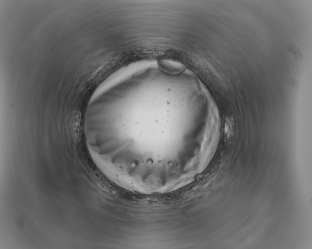 X0000112080867200908251102