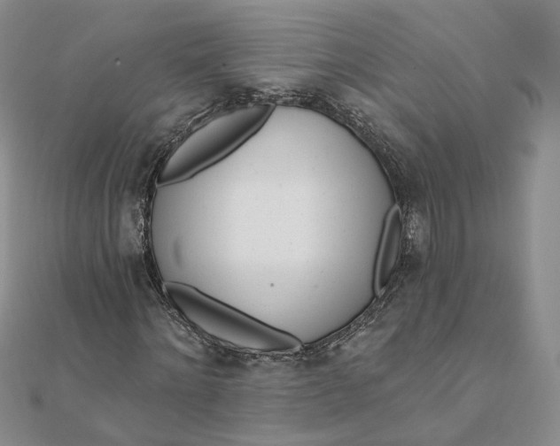 X0000112080868200908251102