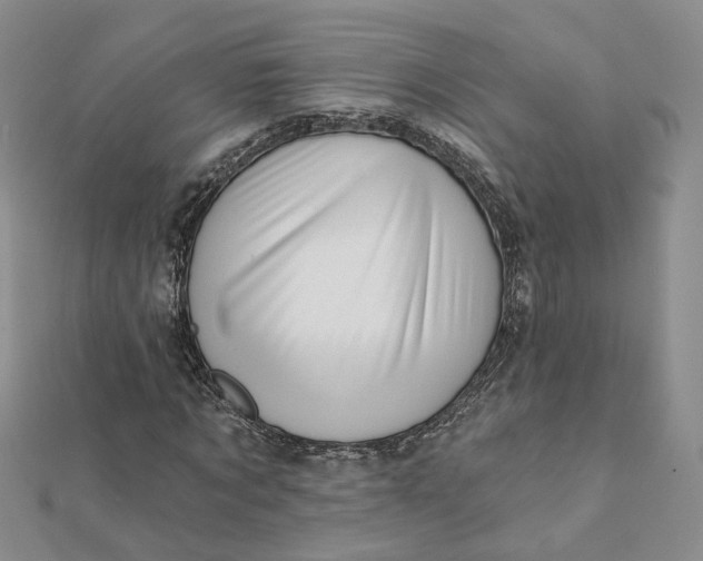 X0000112080869200908251102