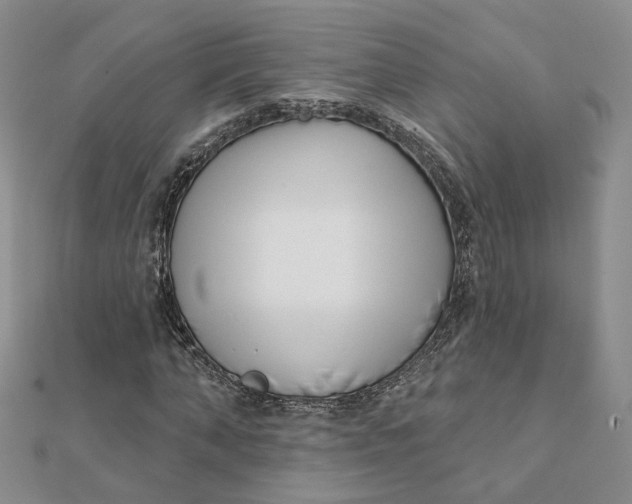 X0000112080870200908251102