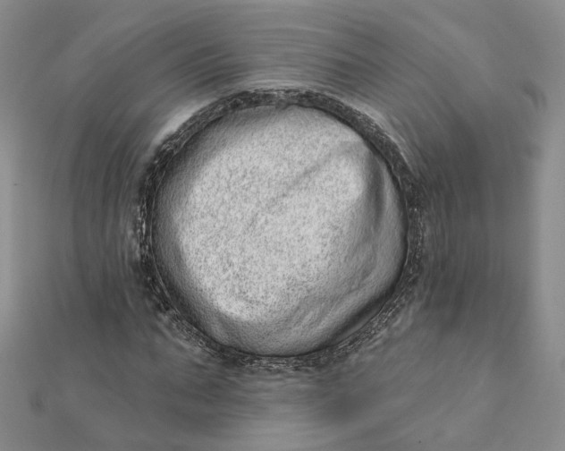 X0000112080871200908251102