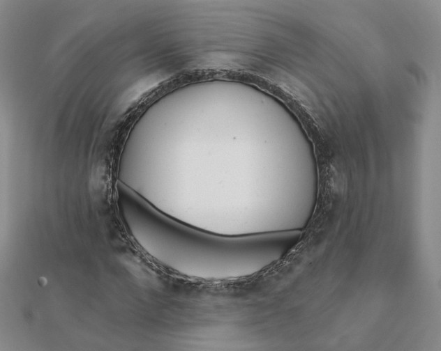 X0000112080872200908251102