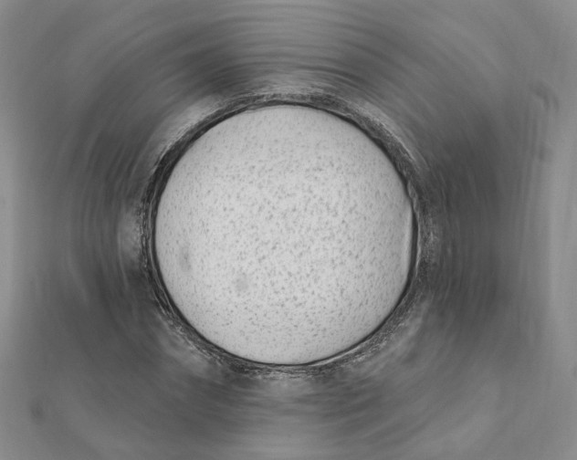 X0000112080874200908251102