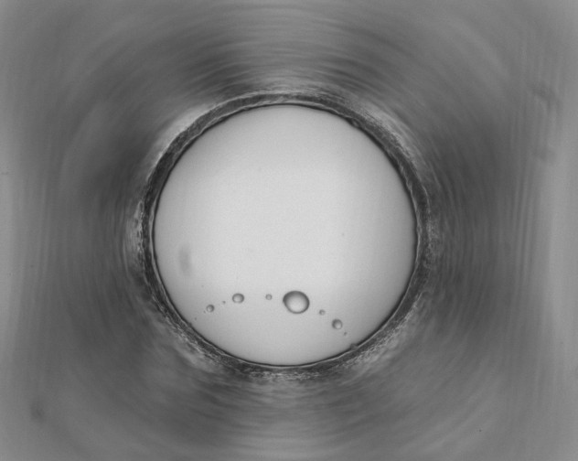 X0000112080875200908251102