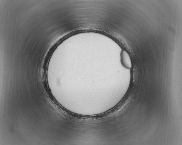 X0000112080876200908251102