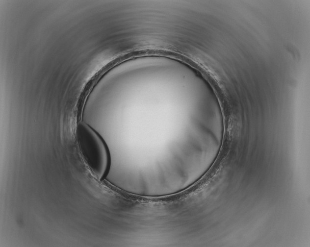 X0000112080877200908251102