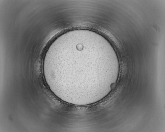 X0000112080878200908251102