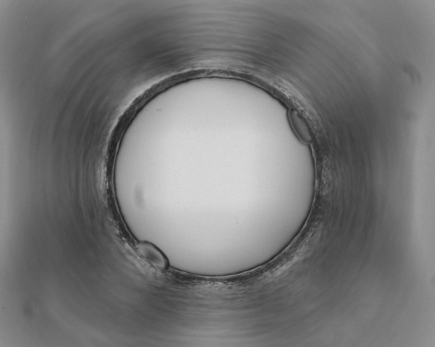 X0000112080880200908251102