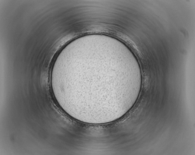 X0000112080882200908251102