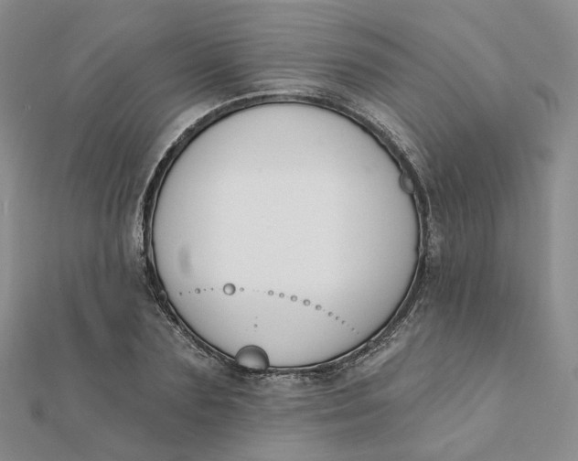 X0000112080883200908251102