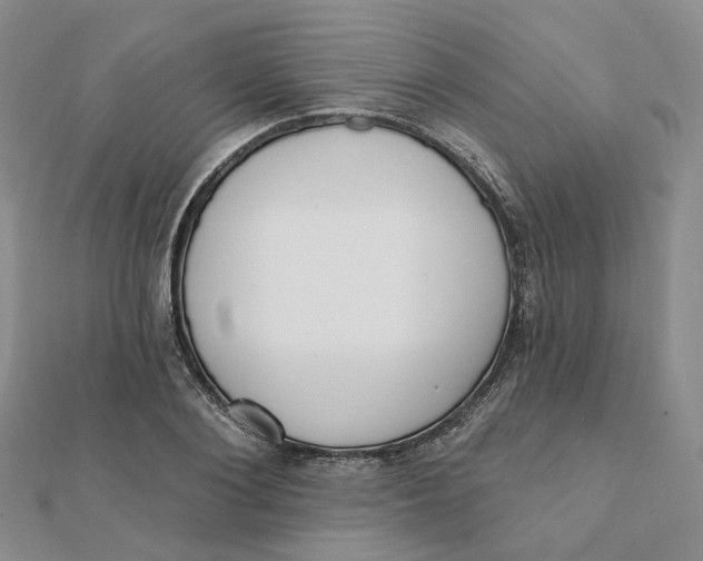 X0000112080884200908251102