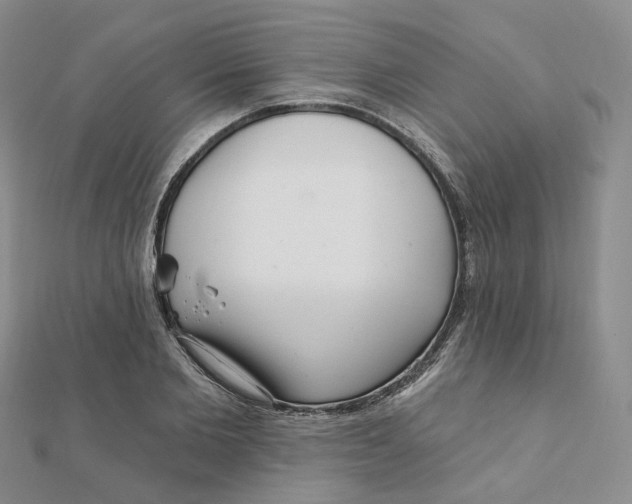 X0000112080885200908251102