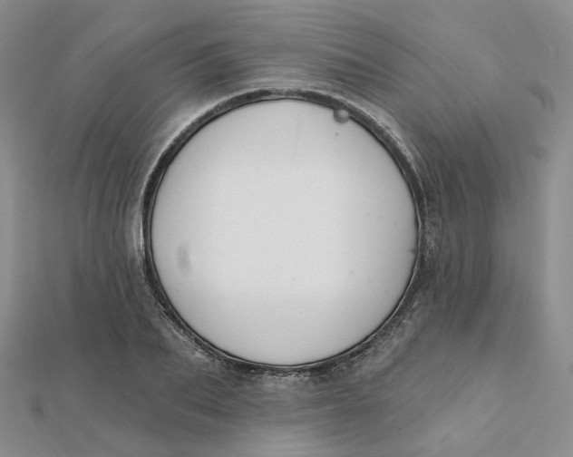 X0000112080887200908251102