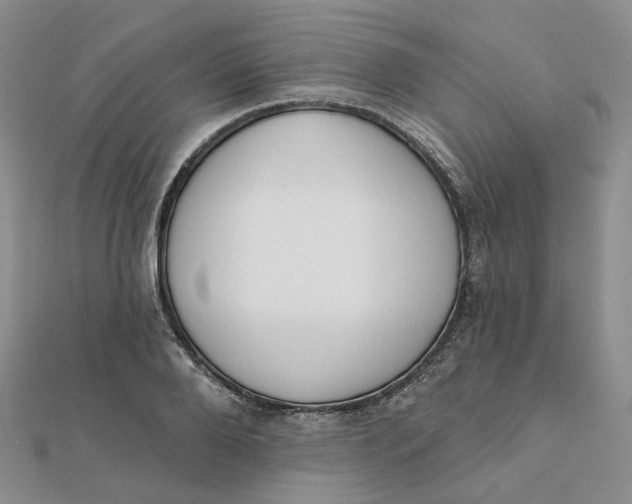 X0000112080888200908251102