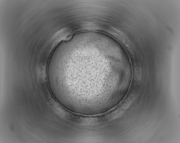 X0000112080889200908251102