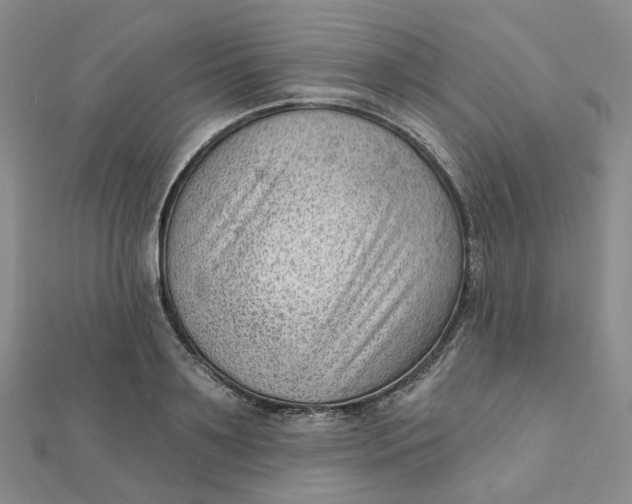 X0000112080891200908251102