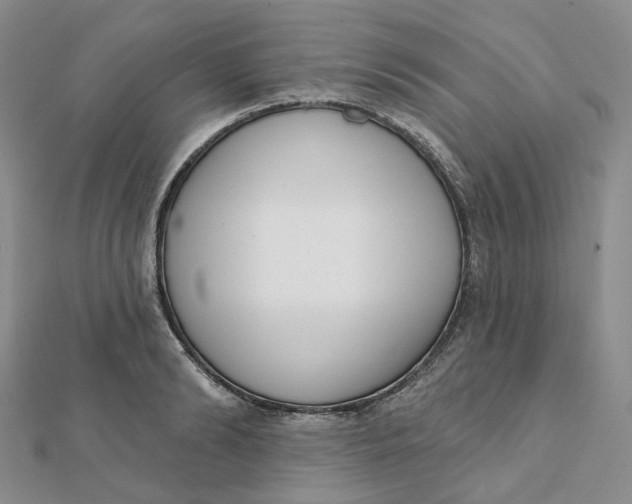 X0000112080894200908251102