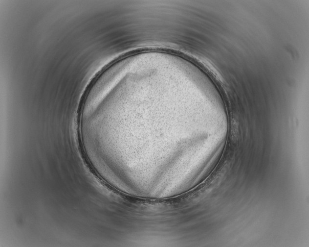 X0000112080895200908251102